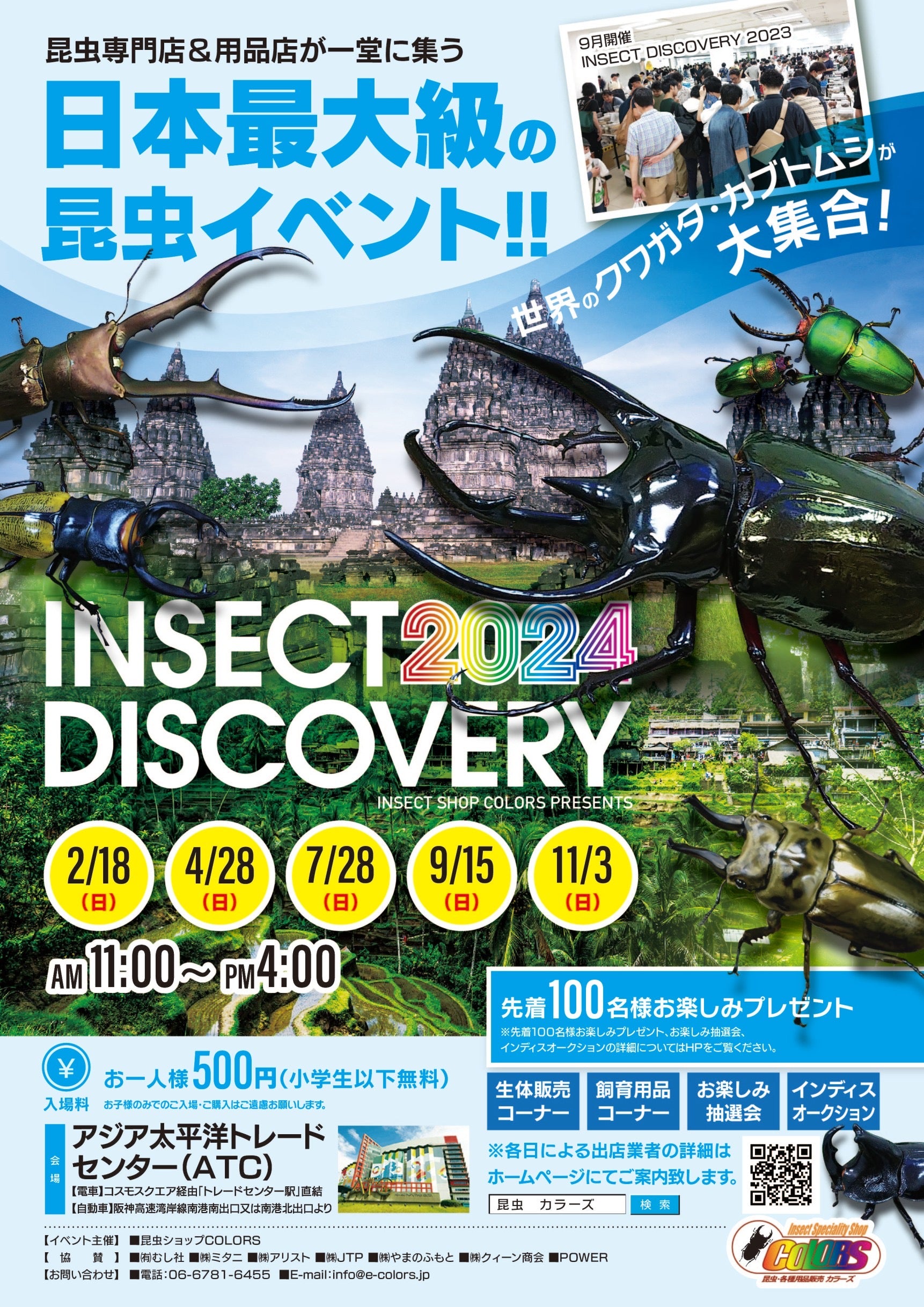 インセクトディスカバリー4月編 – INSECT SHOP KMY