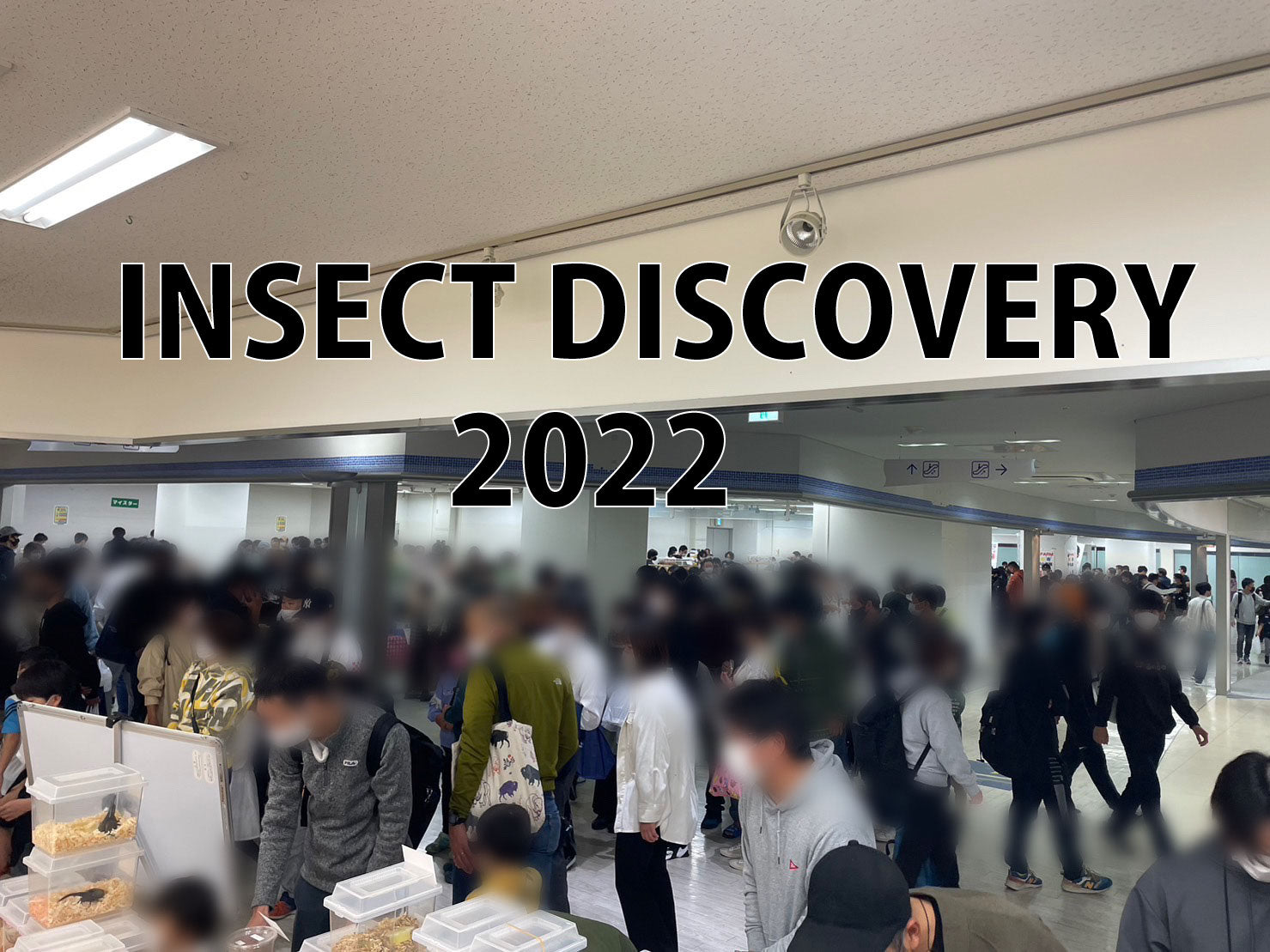 INSECT DISCOVERY 2022～西日本最大級の昆虫イベント!!～ INSECT SHOP KMY