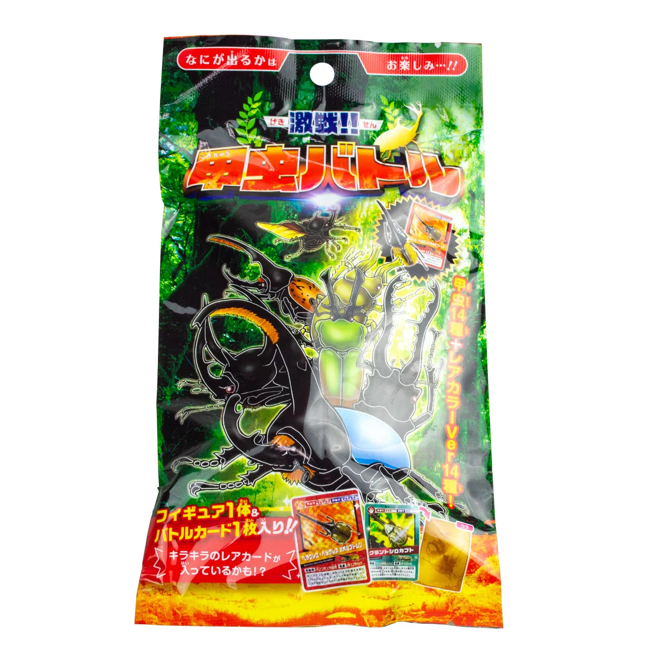 激戦！！甲虫バトル – INSECT SHOP KMY