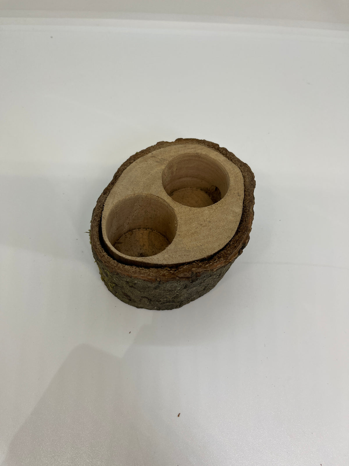 皿木 ツイン