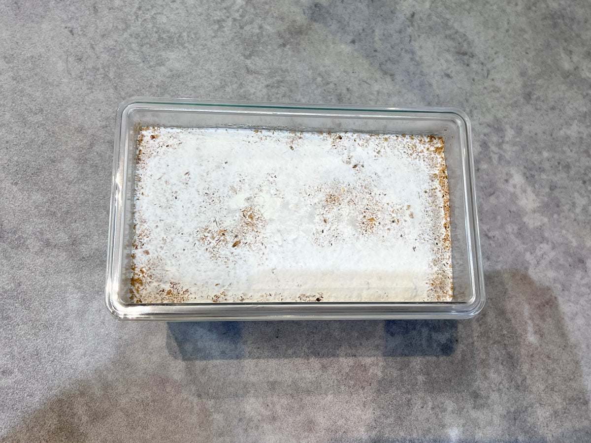 菌床ケース(産卵用)