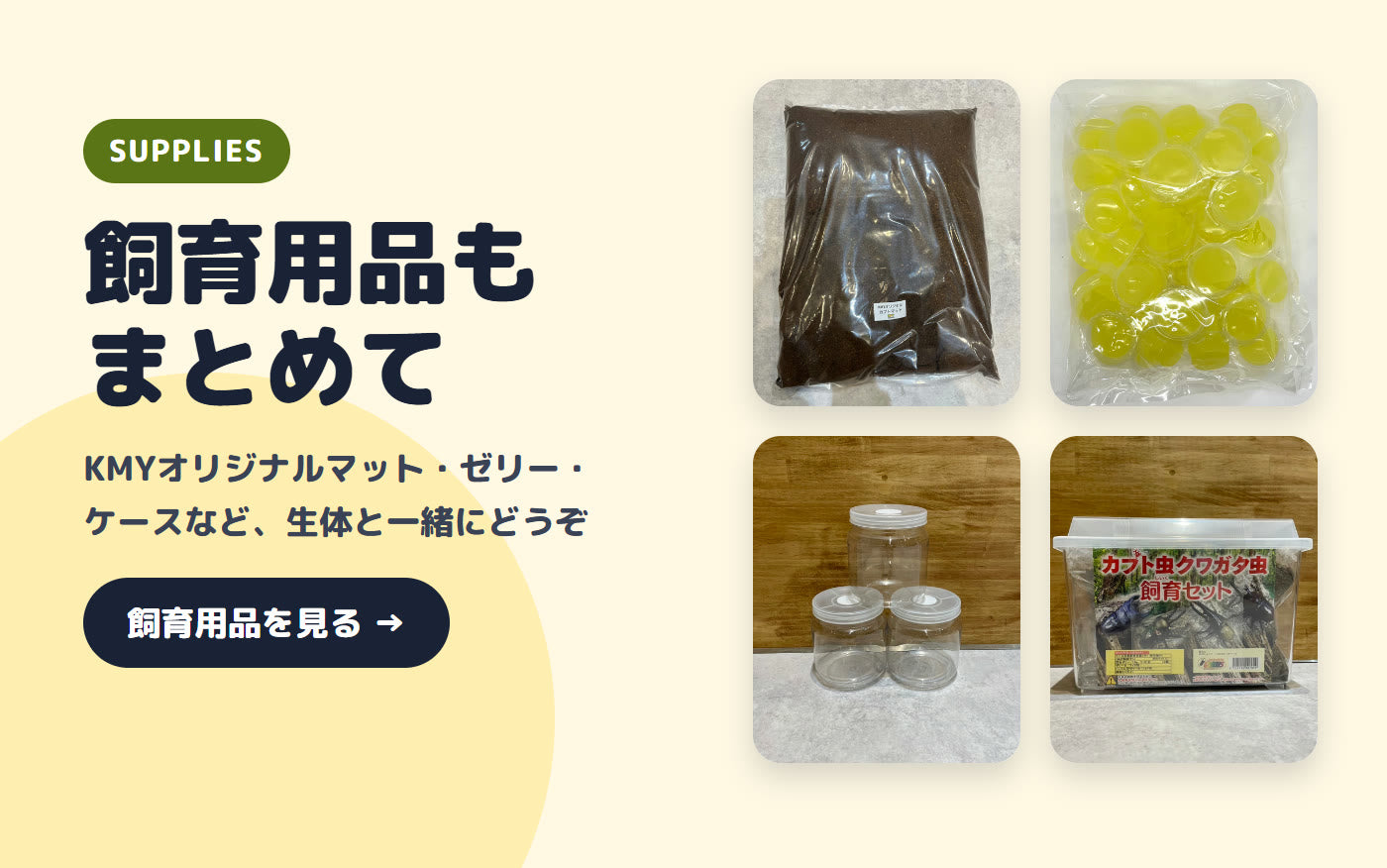 飼育用品もまとめて KMYオリジナルマット・ゼリー・ケース