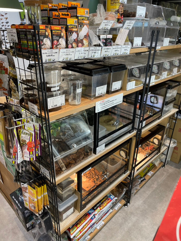爬虫類の飼育用品