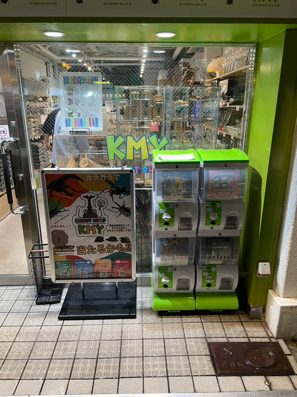 入口にはガチャもあります