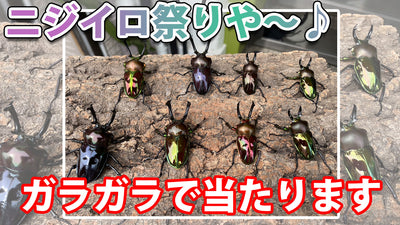 Youtube更新しました！