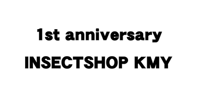 １周年迎えます！！！