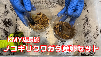 youtube更新しております