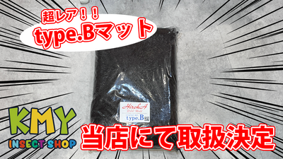 Youtube更新しました！