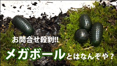 Youtube公開！！