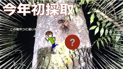 Youtube上げました↑