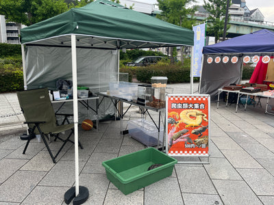 KOKOマルシェ