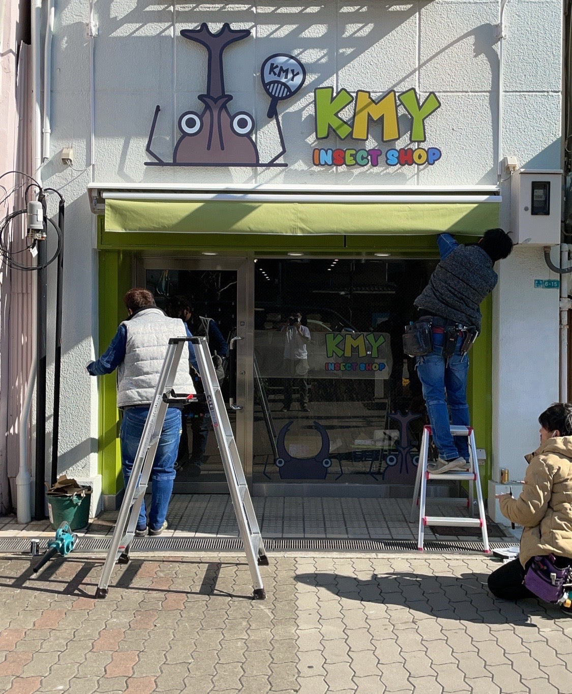 Japanese Insect. Shop バージョンアップします – INSECT SHOP KMY