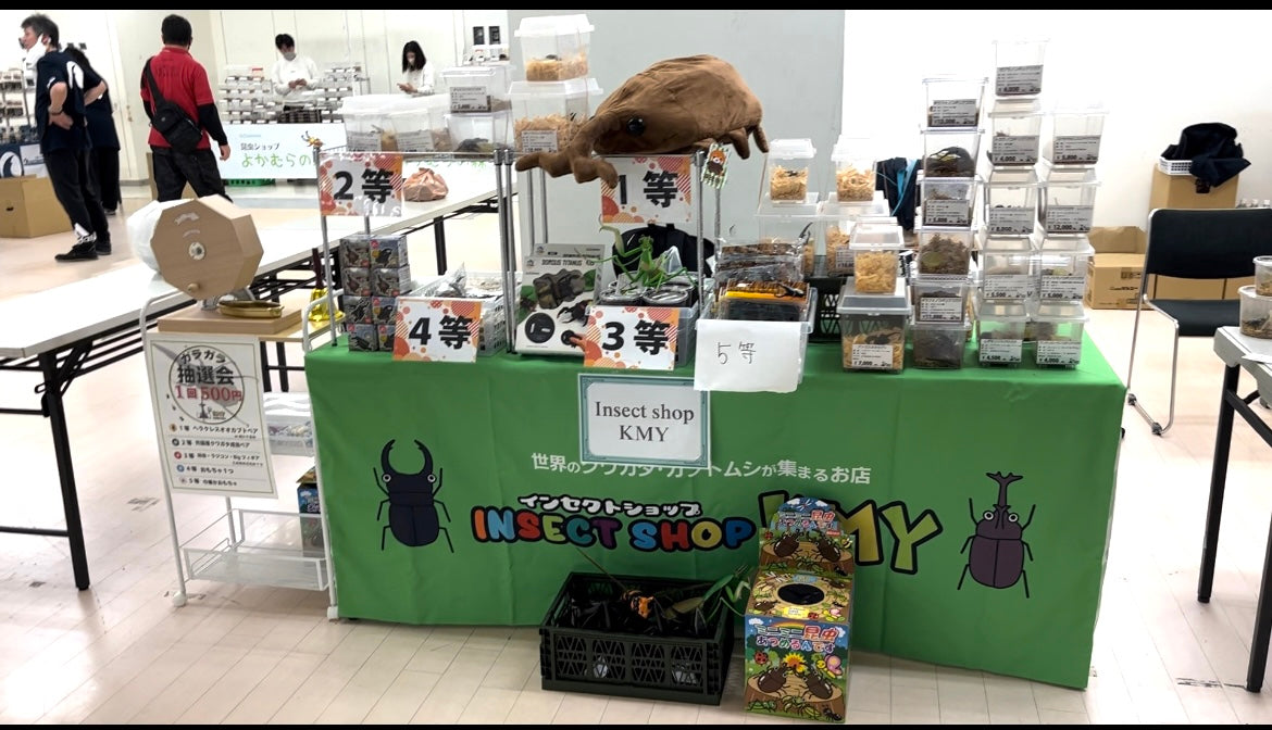 Insect. Shop INSECTDISCOVERY 4/23 – INSECT SHOP KMY