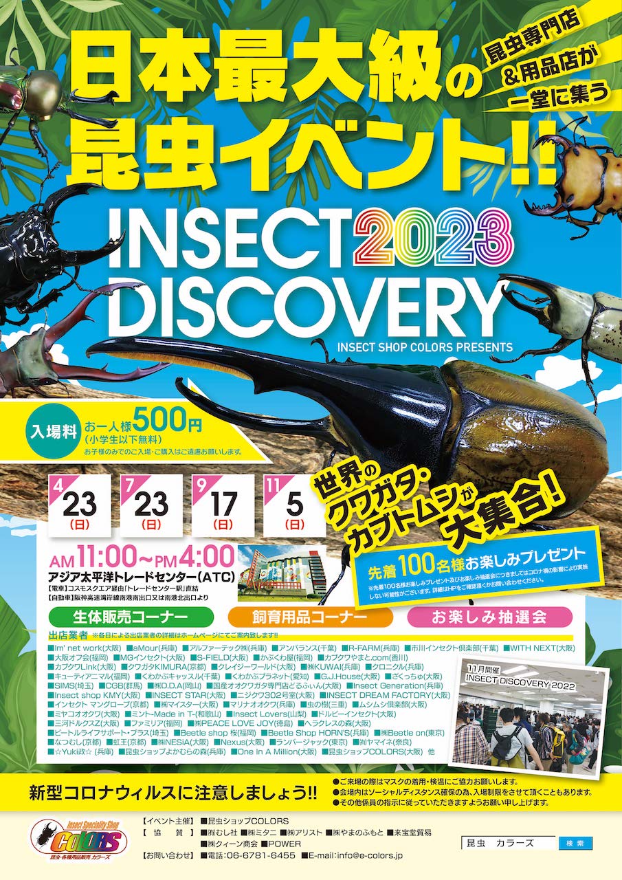 Insect. Shop インセクトディスカバリー販売リスト – INSECT SHOP KMY