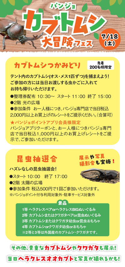 7/18カブトムシ大冒険フェス