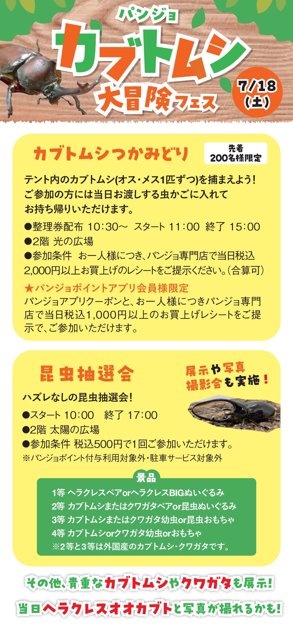 7/18カブトムシ大冒険フェス