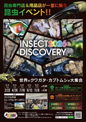 インセクトディスカバリー