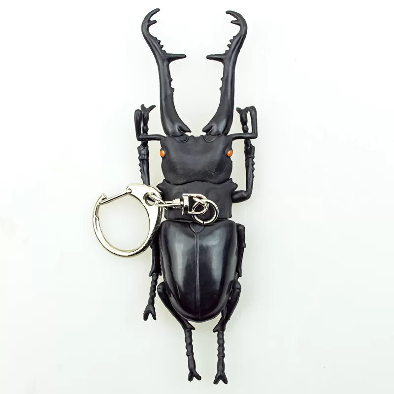 立体昆虫キーホルダー（全6種） – INSECT SHOP KMY