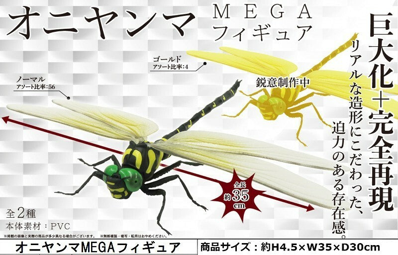 6種！MEGA昆虫フィギア – INSECT SHOP KMY