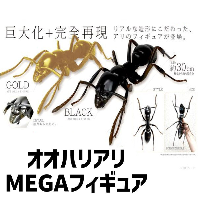 6種！MEGA昆虫フィギア – INSECT SHOP KMY