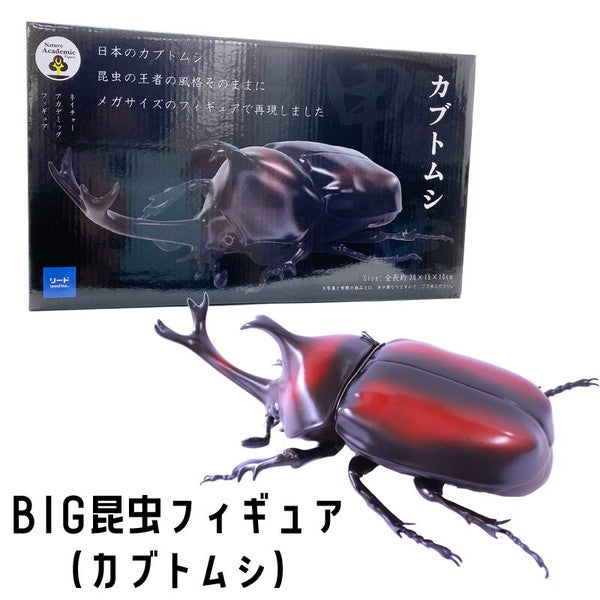 超BIG！ メガサイズ 昆虫フィギュア – INSECT SHOP KMY