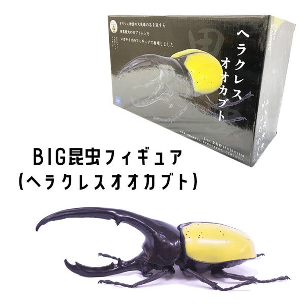 超BIG！ メガサイズ 昆虫フィギュア – INSECT SHOP KMY