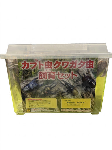 すぐ飼える！昆虫スタートキット
