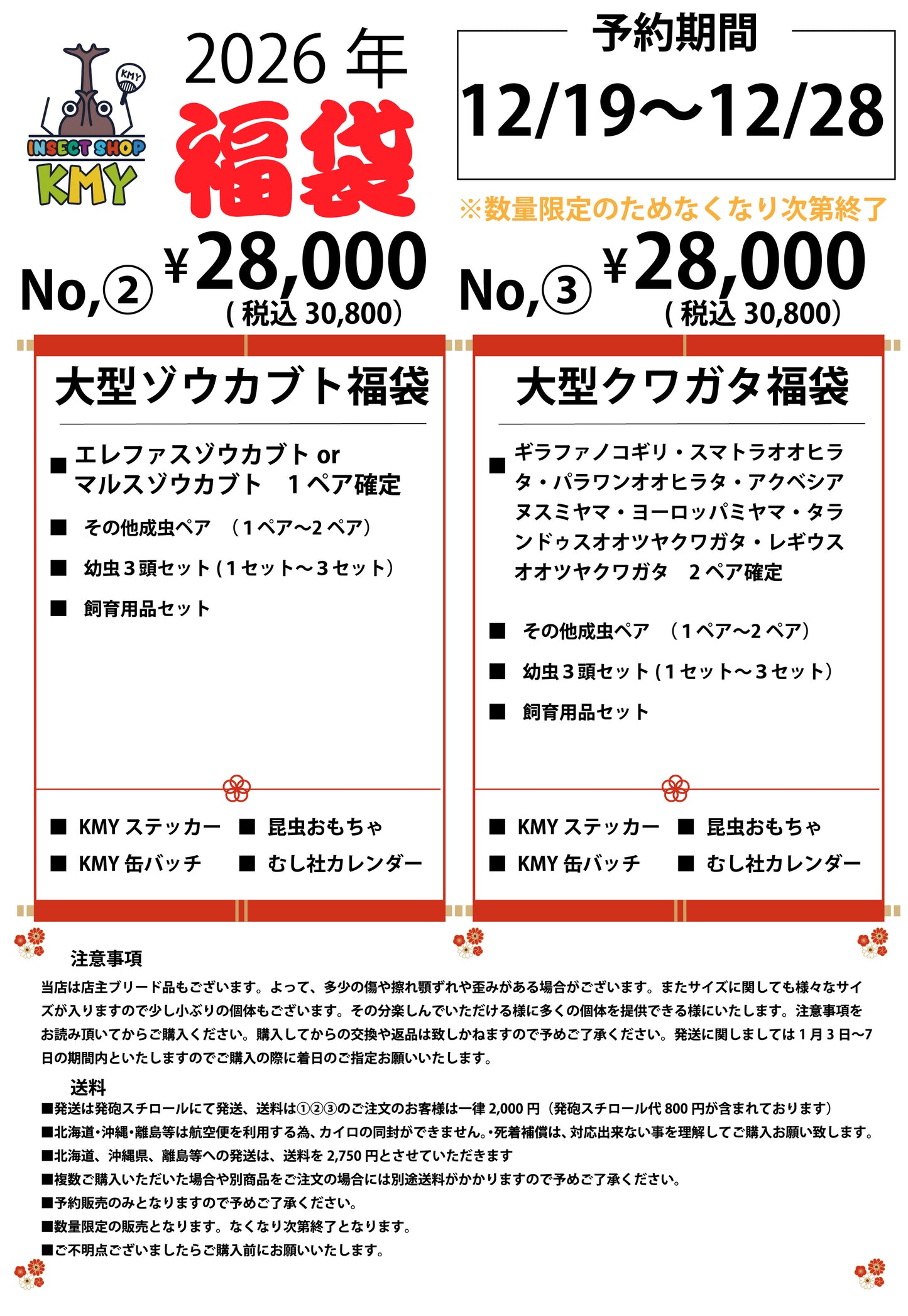 No,2【大型ゾウカブト28,000円(税込30,800円）】新春福袋2026