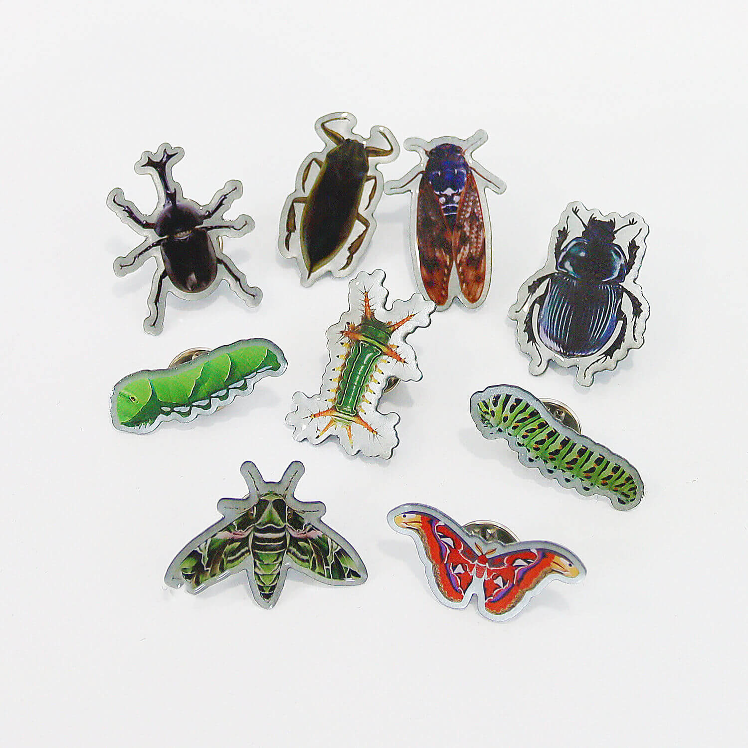 昆虫ピンバッジ(pins) – INSECT SHOP KMY 昆虫ピンバッジ(pins) – INSECT SHOP KMY