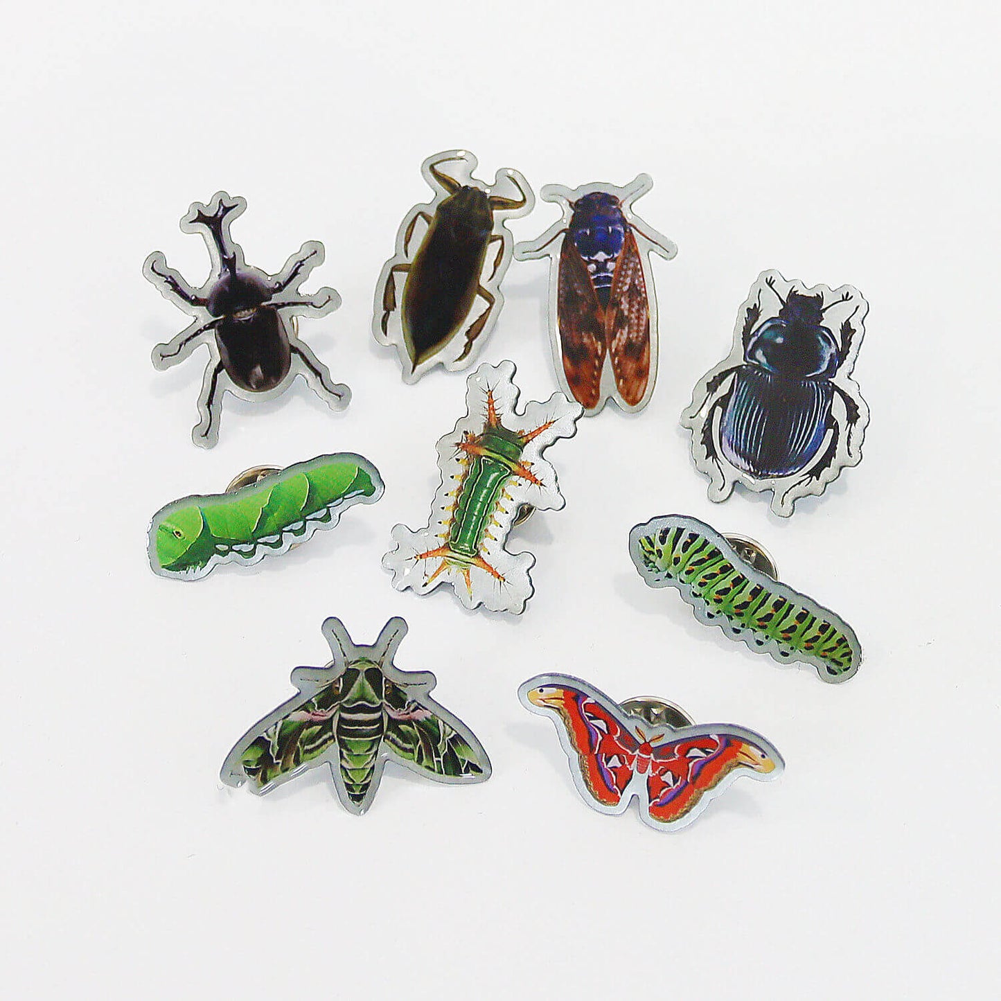 昆虫ピンバッジ（pins）　