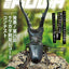 BE-KUWA　各種