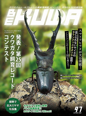 BE-KUWA　各種