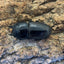 【WD】スマトラオオヒラタクワガタ