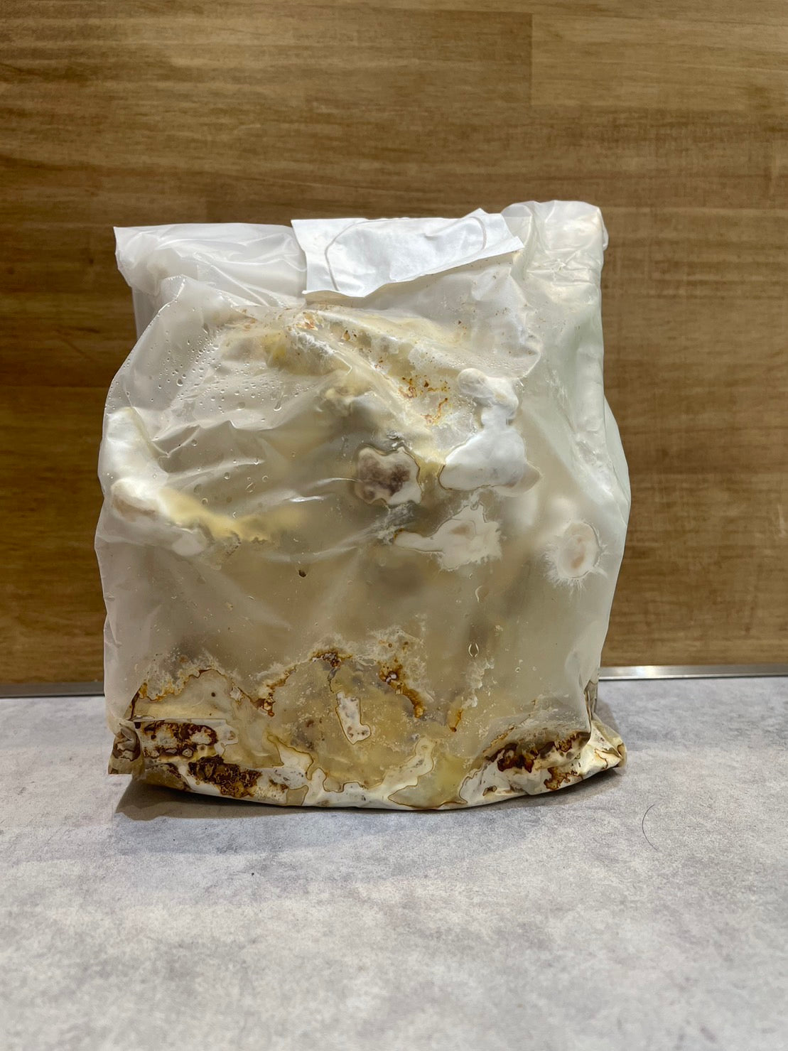 すべての商品 – INSECT SHOP KMY