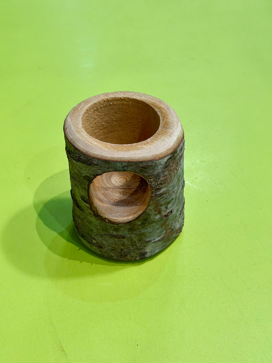インセクトシェルター – INSECT SHOP KMY
