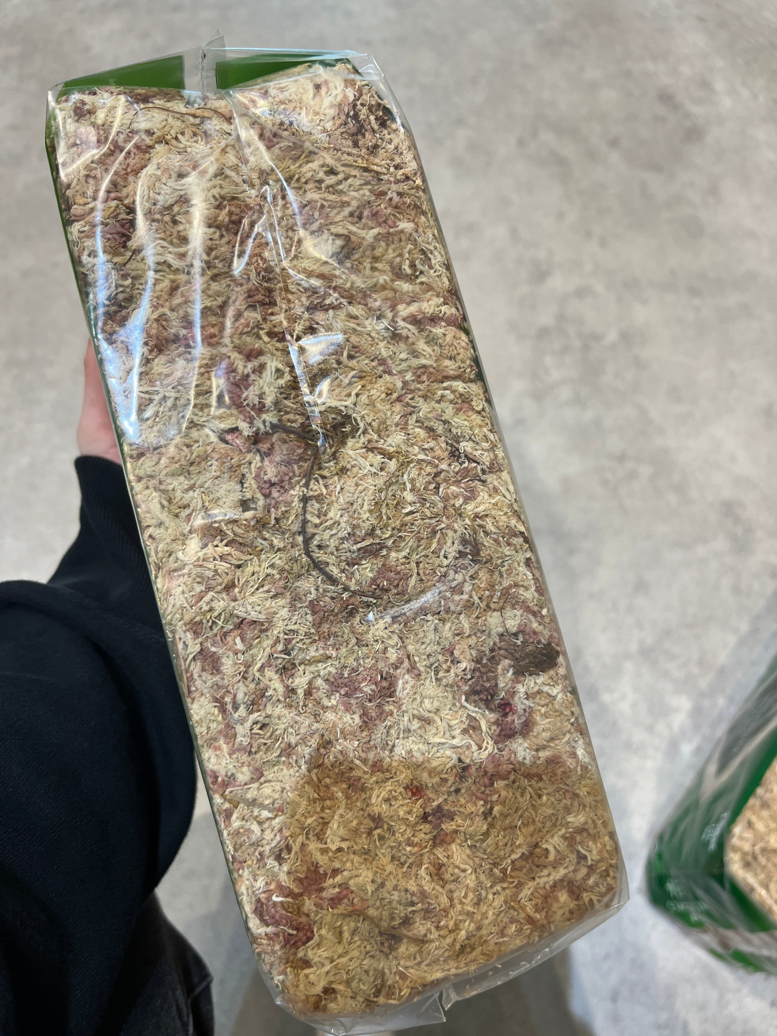 水苔 – INSECT SHOP KMY