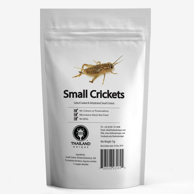Small Crickets(ヨーロッパイエコオロギ)