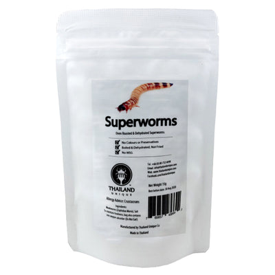 Superworms(スーパーワーム)