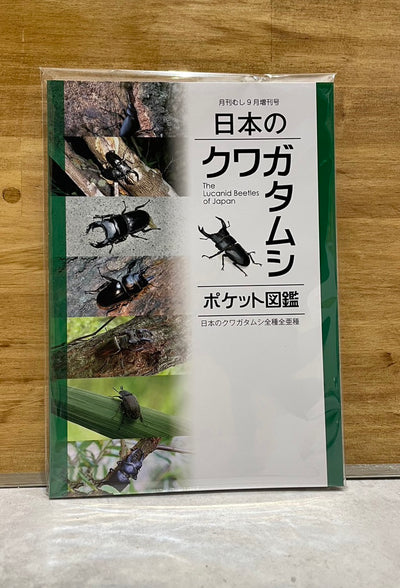 日本のクワガタムシ　ポケット図鑑